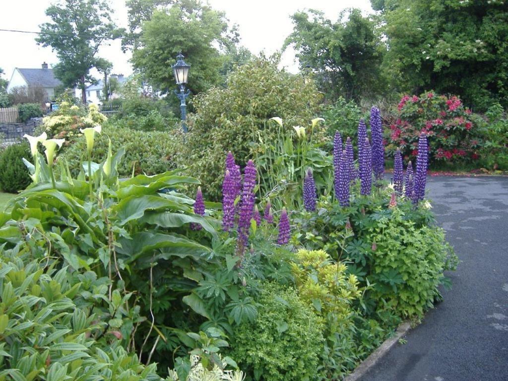 Riverwalk House B&B Oughterard Kültér fotó