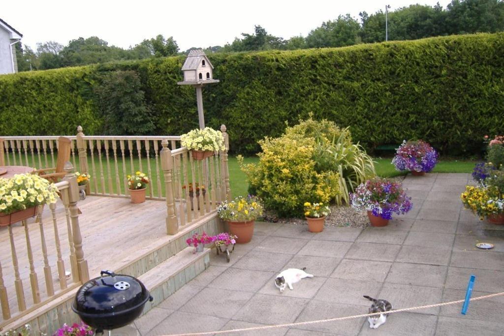 Riverwalk House B&B Oughterard Kültér fotó