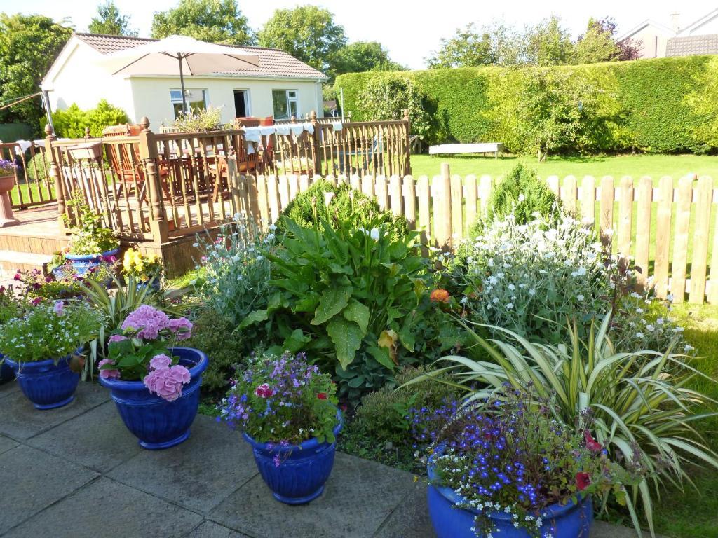 Riverwalk House B&B Oughterard Kültér fotó